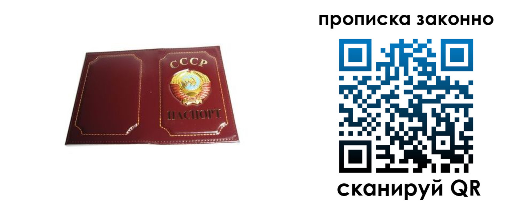 прописка законно в Волгоградской области